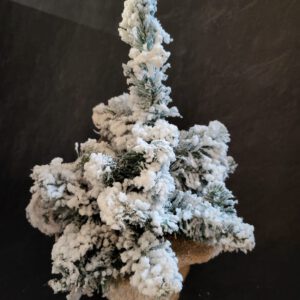 Kerstboom mini
