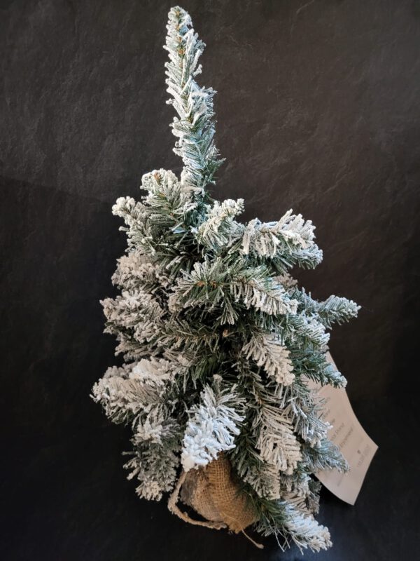 Mini kerstboom