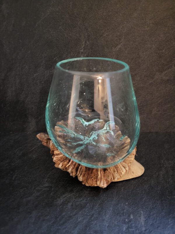 Glas op hout Rare parasite wood