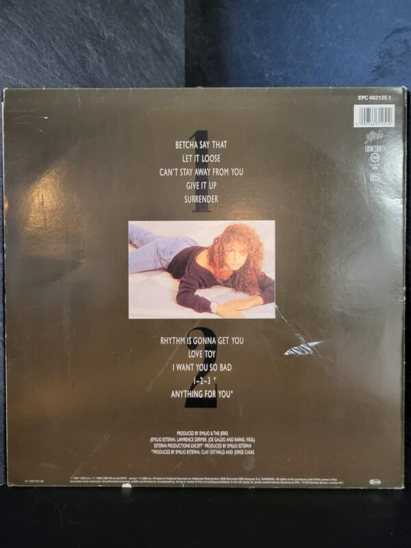 Gloria Estefan and Miami Sound Machine - Anything For You - Afbeelding 2