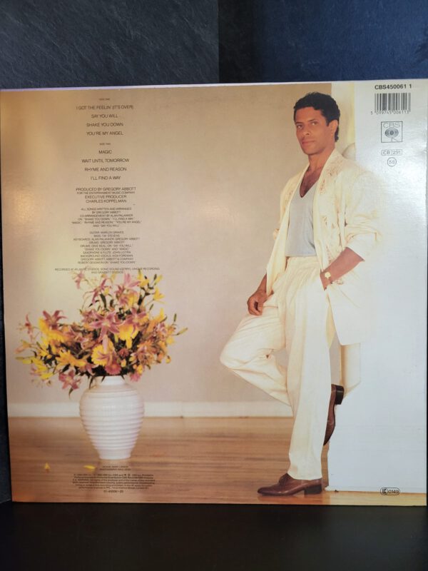 Gregory Abbott - Shake You Down - Afbeelding 2