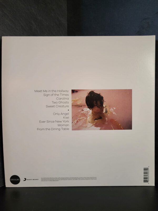 Harry Styles - Harry Styles - Afbeelding 2