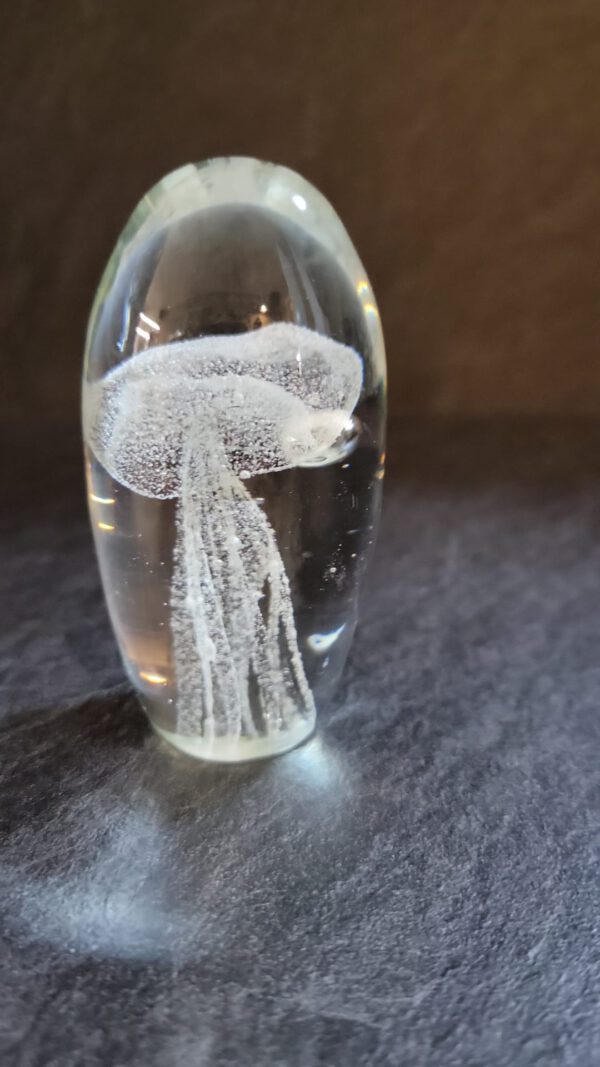 Kwal in glas - Afbeelding 3