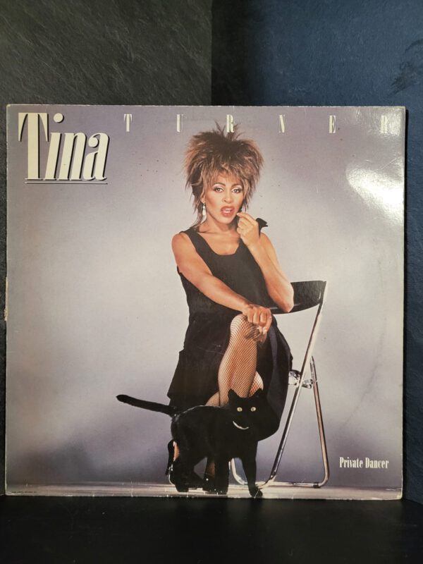 Tina Turner - Private Dancer