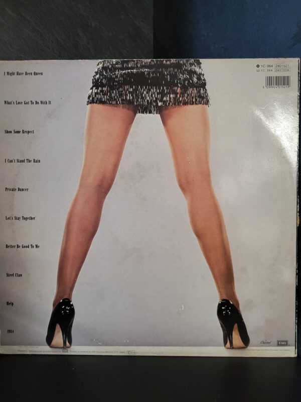 Tina Turner - Private Dancer - Afbeelding 2